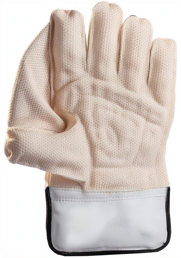 SS Cricket Wicket Keeping Gloves Junior Size Leather-2