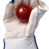 Gunn & Moore Adult Cricket Wicket Keeping Gloves PVC-2
