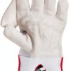 Cricket Wicket Keeping Gloves Sanspareils Greenlands Leather-2