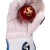 SG RSD Xtreme Cricket Wicket Keeping Gloves Men Leather-3