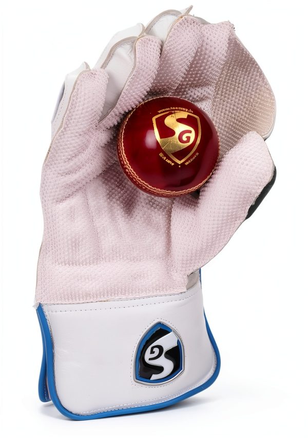 SG RSD Xtreme Cricket Wicket Keeping Gloves Men Leather-3