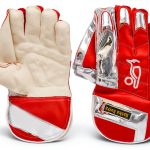AAProTools Cricket Wicket Keeping Gloves Leather-0