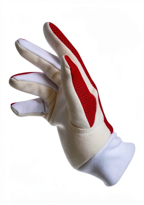 SPORTAXIS Cricket Wicket Keeping Gloves Cotton-4