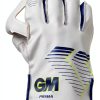Gunn & Moore Adult Cricket Wicket Keeping Gloves PVC-0